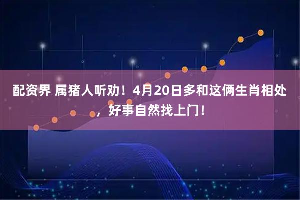 配资界 属猪人听劝！4月20日多和这俩生肖相处，好事自然找上门！